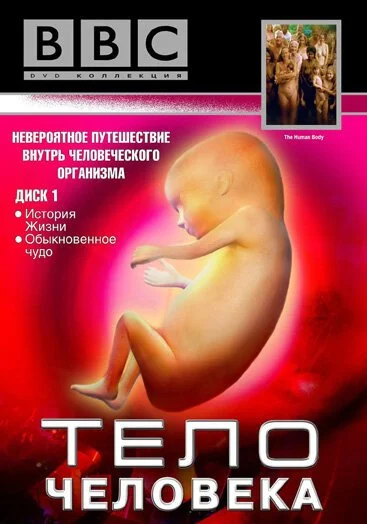 BBC: Тело человека (1998) онлайн бесплатно