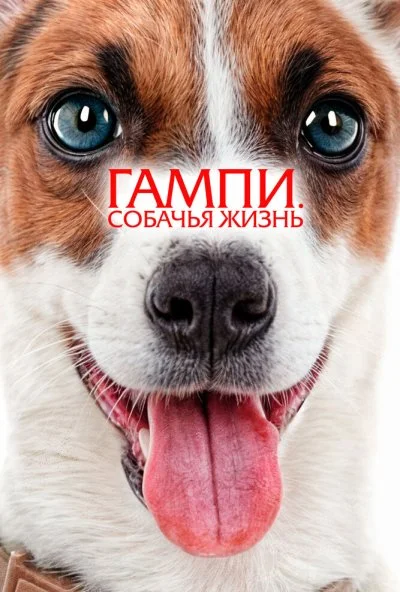 Гампи. Собачья жизнь (2025) онлайн бесплатно